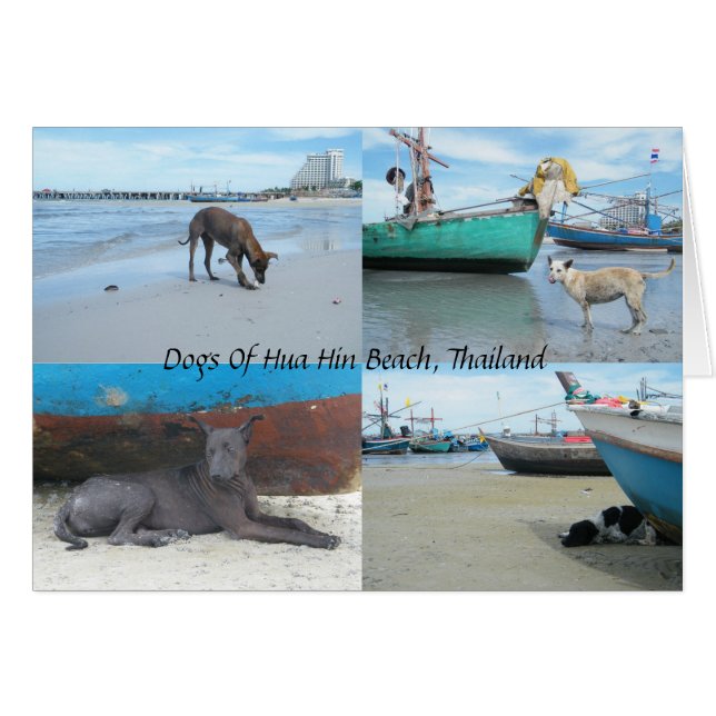 Hunde von Hua Hin Beach, Thailand (Vorderseite (Horizontal))