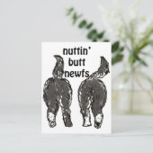 Hunde von Neufundland Postkarte (Stehend Vorderseite)