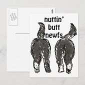 Hunde von Neufundland Postkarte (Vorne/Hinten)