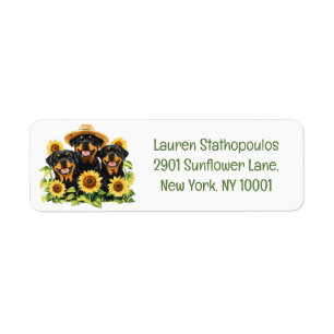 Hunde von Rottweiler, umgeben von Sonnenblumen