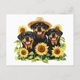 Hunde von Rottweiler, umgeben von Sonnenblumen Feiertagspostkarte