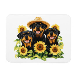 Hunde von Rottweiler, umgeben von Sonnenblumen Magnet