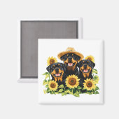 Hunde von Rottweiler, umgeben von Sonnenblumen Magnet (Vorderseite/Rückseite)