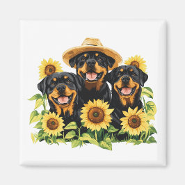 Hunde von Rottweiler, umgeben von Sonnenblumen Magnet