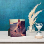 Hunde vor dem Strand Fotoplatte (InSitu)