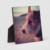 Hunde vor dem Strand Fotoplatte (Vorderseite)