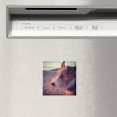 Hunde vor dem Strand Magnet (In Situ (Geschirrspüler))