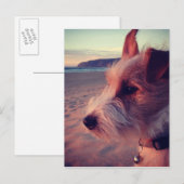 Hunde vor dem Strand Postkarte (Vorne/Hinten)