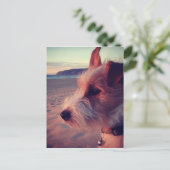 Hunde vor dem Strand Postkarte (Stehend Vorderseite)