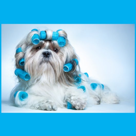 Hunde wachsen puzzle