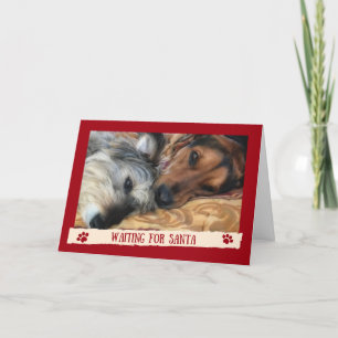 Hunde warten auf den Weihnachtsmann - Lustige Kart Feiertagskarte