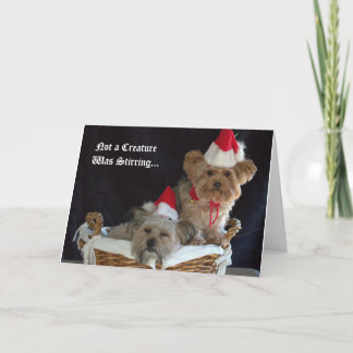 Hunde-Weihnachten Feiertagskarte