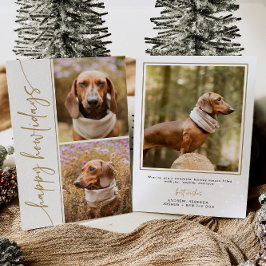 Hunde Weihnachtskarte Foto Holiday Card Moderne Go Feiertagskarte