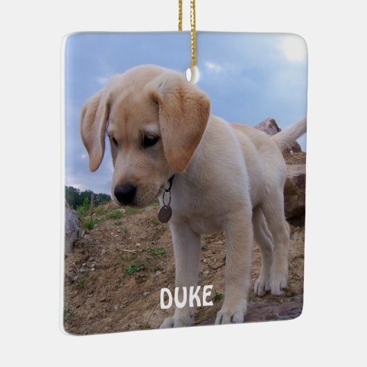 Hunde Weihnachtsschmuck Foto Square (Rechts)