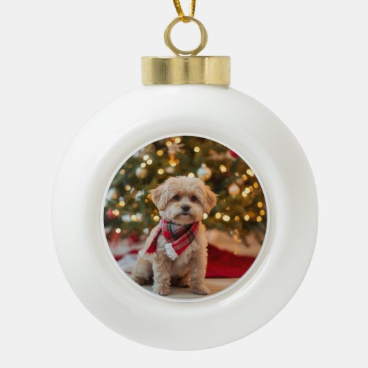 Hunde-Weihnachtsschmuck | Haustierfoto Keramik Kugel-Ornament (Vorderseite)
