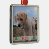 Hunde Weihnachtsschmuck Metal Custom Foto (Rechts)