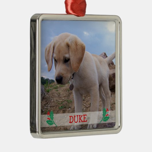 Hunde Weihnachtsschmuck Metal Custom Foto (Rechts)