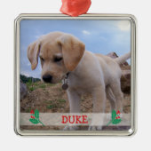 Hunde Weihnachtsschmuck Metal Custom Foto (Vorne)