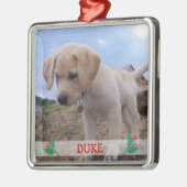 Hunde Weihnachtsschmuck Metal Custom Foto (Links)