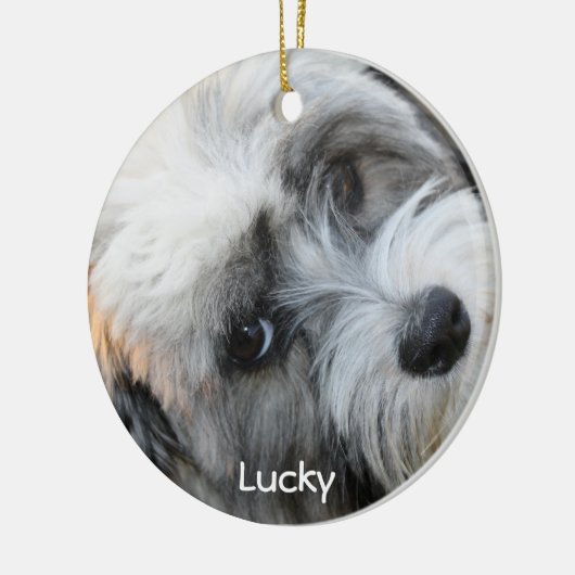 Hunde Weihnachtsschmuck mit Ihrem individuellen Fo (Links)