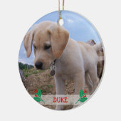 Hunde Weihnachtsschmuck Personalisiertes Foto (Links)