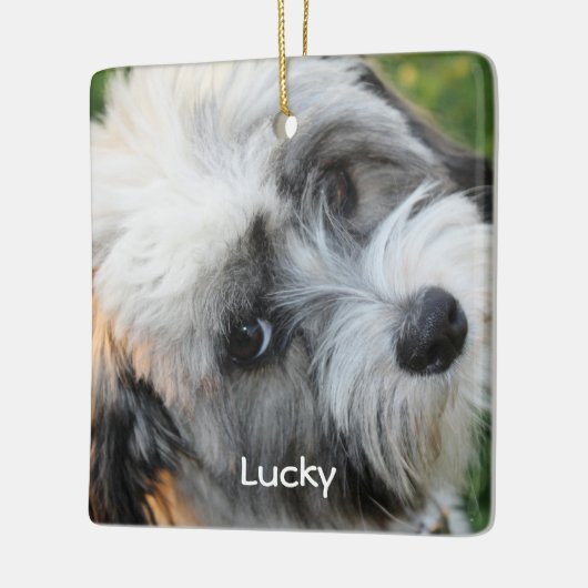 Hunde Weihnachtsschmuck Square Keramik Foto (Links)