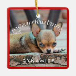 Hunde Weihnachtsschmuck Square Personalisiertes Fo