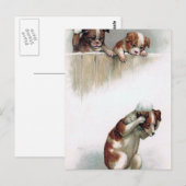 "Hunde, welche die Schneebälle" Vintag spielen Postkarte (Vorne/Hinten)