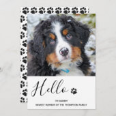 Hunde Welpe - Ankündigung (Vorne/Hinten)