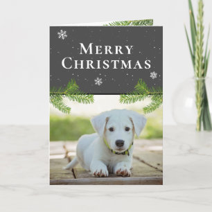 Hunde-Welpen-Foto-Tanne-Schneeflocken-Frohe-Weihna Feiertagskarte