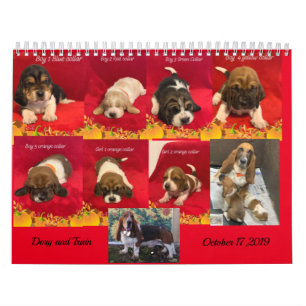 Hunde-Welpen Kalender
