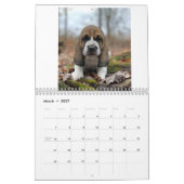 Hunde-Welpen Kalender (Mär 2027)
