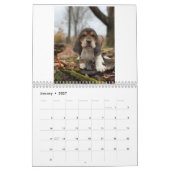 Hunde-Welpen Kalender (Jan 2027)