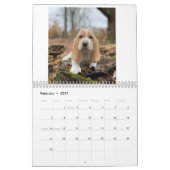 Hunde-Welpen Kalender (Feb 2027)