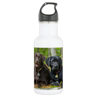 Hunde Welpen Schwarzes Labor Schokolade Labrador R Edelstahlflasche