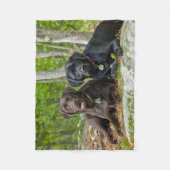 Hunde Welpen Schwarzes Labor Schokolade Labrador R Fleecedecke (Vorderseite)