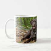 Hunde Welpen Schwarzes Labor Schokolade Labrador R Kaffeetasse (Links)