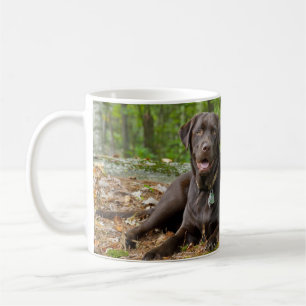 Hunde Welpen Schwarzes Labor Schokolade Labrador R Kaffeetasse