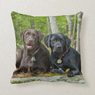 Hunde Welpen Schwarzes Labor Schokolade Labrador R Kissen