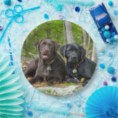 Hunde Welpen Schwarzes Labor Schokolade Labrador R Pappteller (Party)