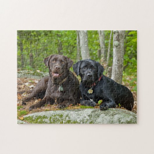 Hunde Welpen Schwarzes Labor Schokolade Labrador R Puzzle (Horizontal)