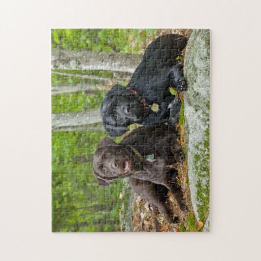 Hunde Welpen Schwarzes Labor Schokolade Labrador R Puzzle (Vertikal)