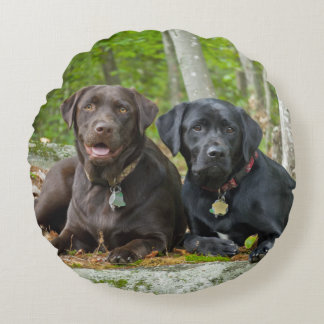 Hunde Welpen Schwarzes Labor Schokolade Labrador R Rundes Kissen