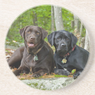 Hunde Welpen Schwarzes Labor Schokolade Labrador R Sandstein Untersetzer