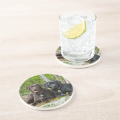 Hunde Welpen Schwarzes Labor Schokolade Labrador R Sandstein Untersetzer (Seite)