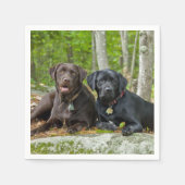 Hunde Welpen Schwarzes Labor Schokolade Labrador R Serviette (Vorderseite)