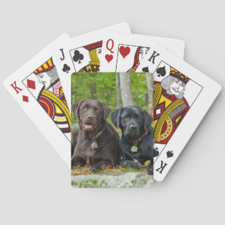 Hunde Welpen Schwarzes Labor Schokolade Labrador R Spielkarten