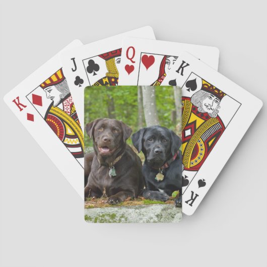 Hunde Welpen Schwarzes Labor Schokolade Labrador R Spielkarten (Rückseite)