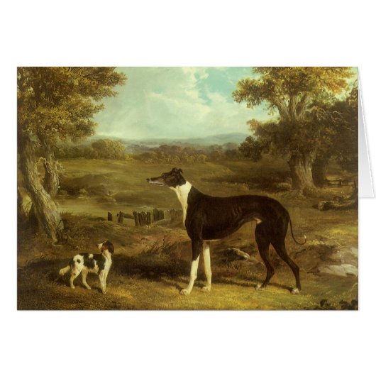 Hunde, Windhund und Spaniel, Doctor Fop by Herring (Vorderseite (Horizontal))