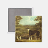 Hunde, Windhund und Spaniel, Doctor Fop by Herring Magnet (Vorderseite/Rückseite)